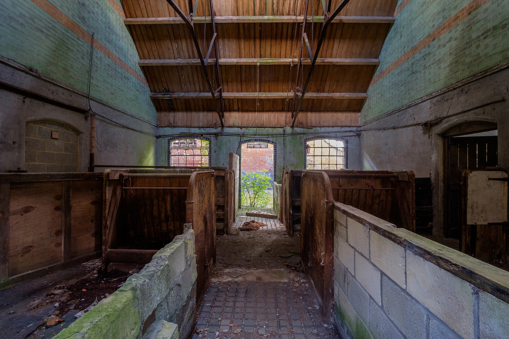 One of Home Farm's stable blocks, with the stalls still in tact (28dayslater)