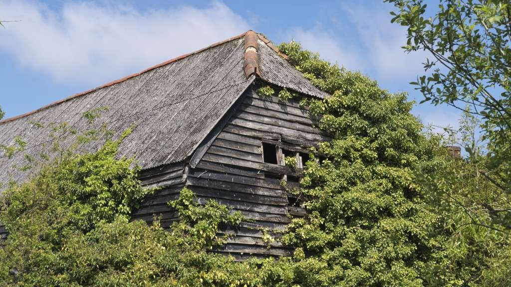 Barn at the Bear Public House.  Credit: Robin Forster